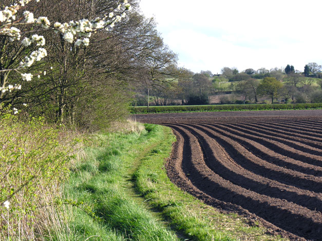 Cheshire ploughed field